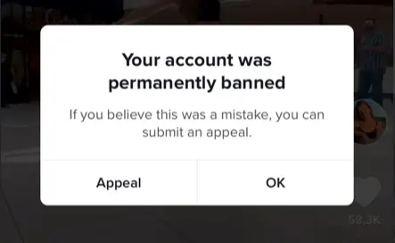 Account Tiktok Banned