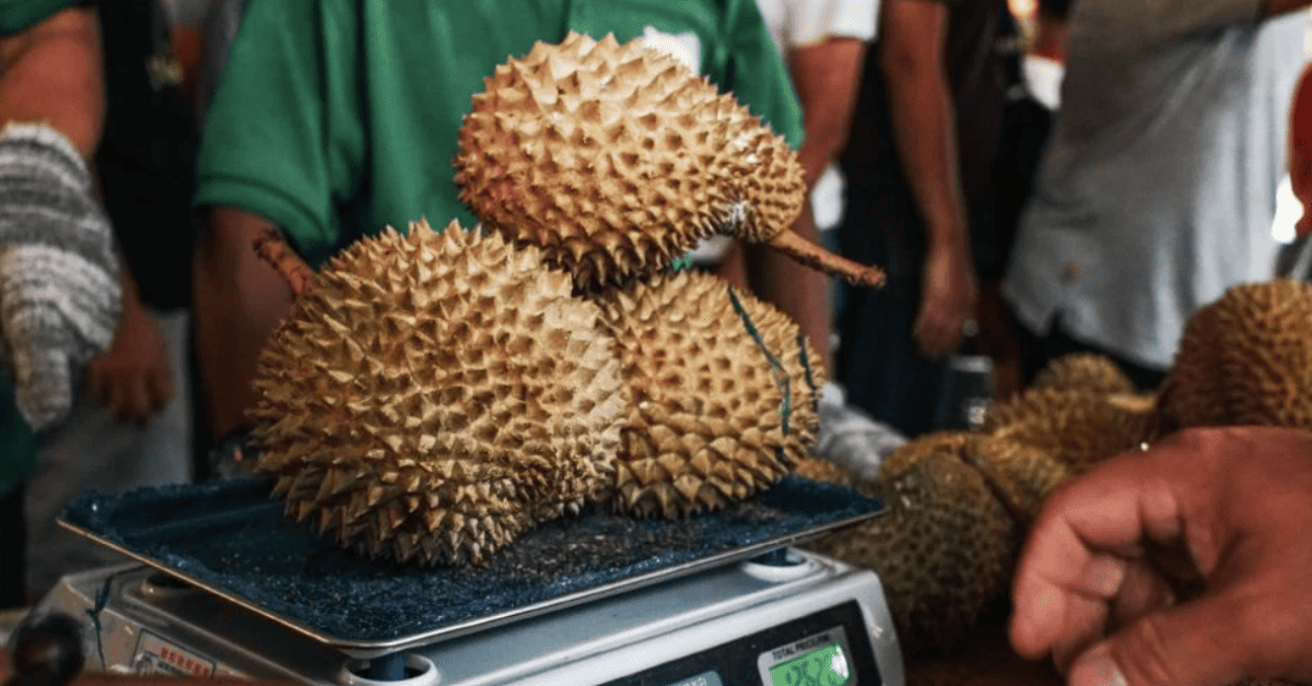 The Ultimate Guide to Launch Your Durian Business in Malaysia