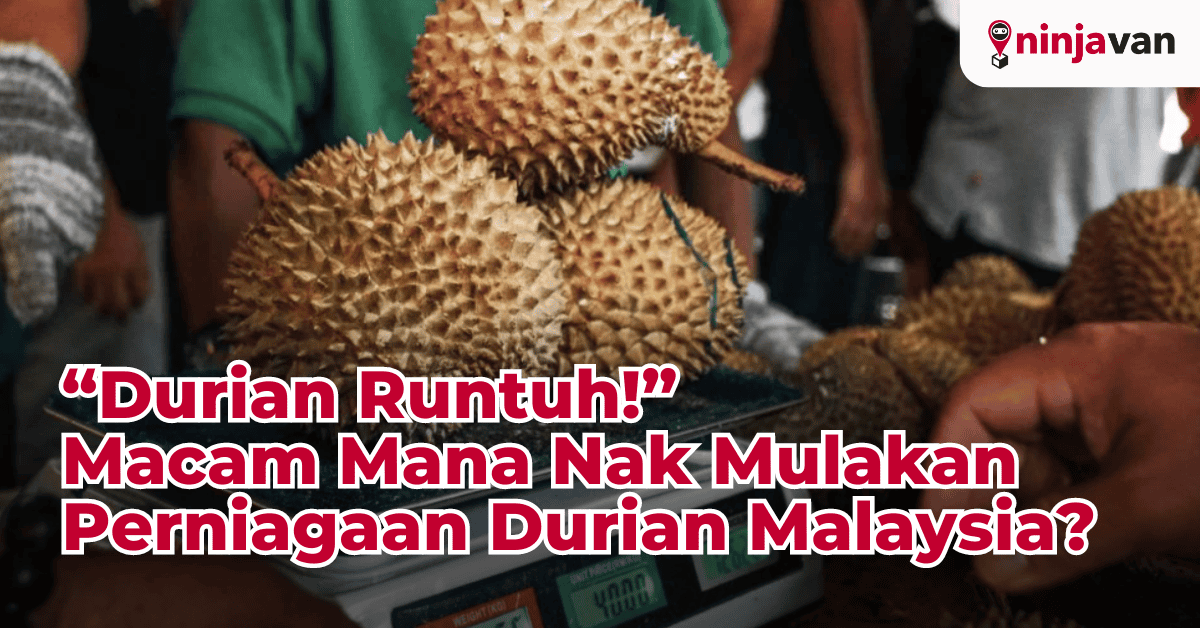 Durian Runtuh Macam Mana Nak Mulakan Perniagaan Durian Malaysia